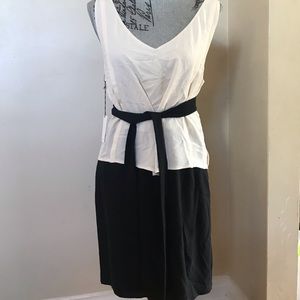 Aritzia babaton silk dress size 10